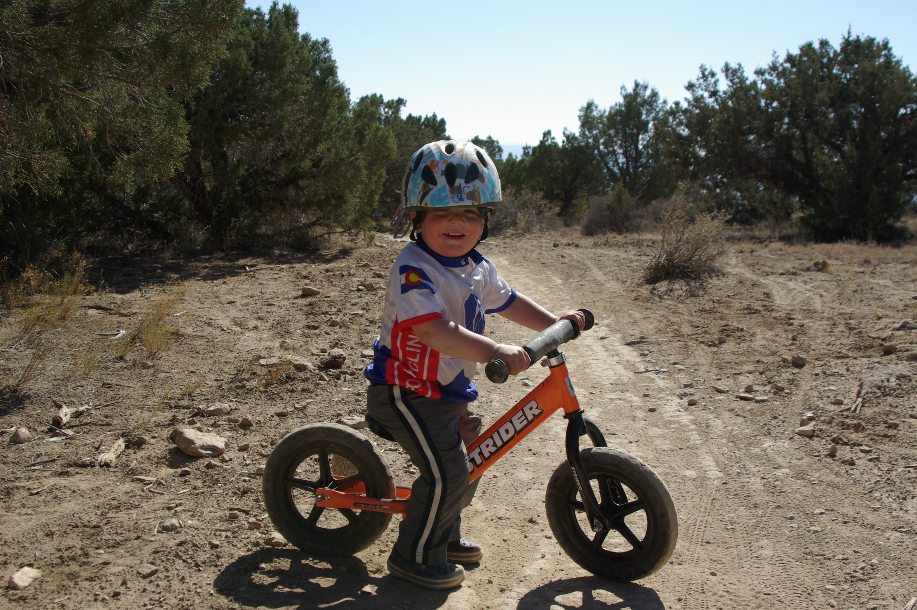 the strider bike