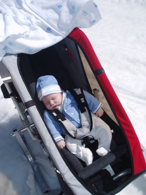 Thule chariot minimum online age