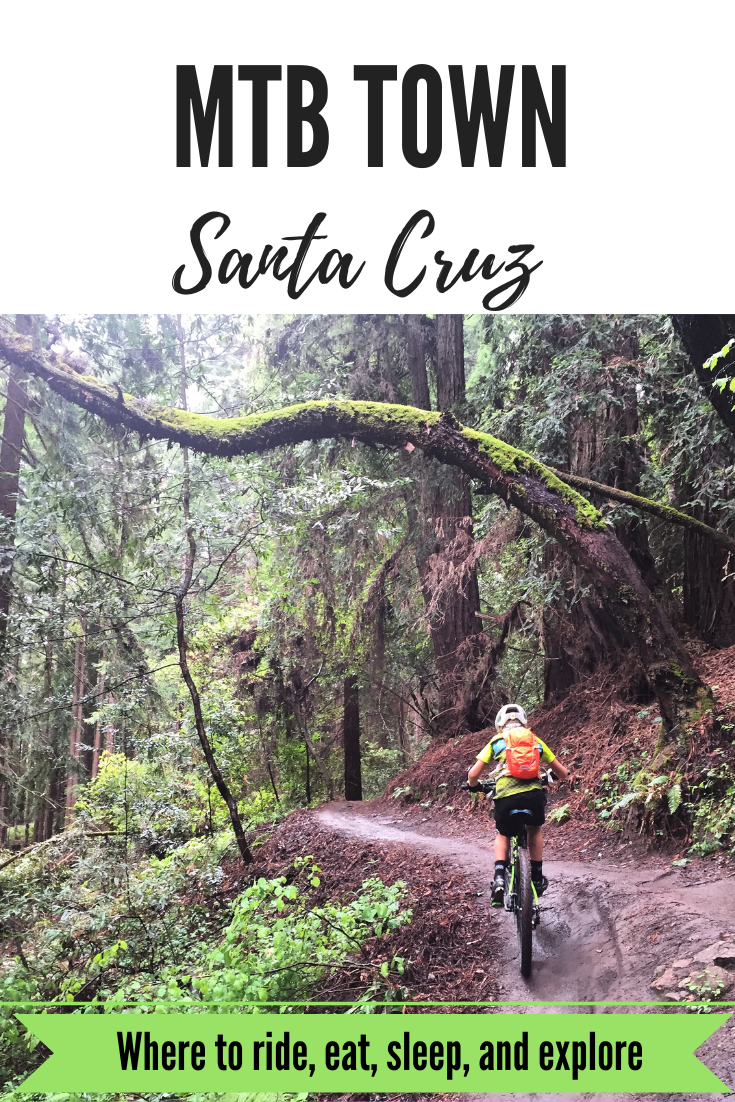 Santa Cruz, California 2024, Ultimate Guide To Where To Go, Eat & Sleep in Santa  Cruz